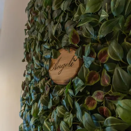 Angeli Casa Apartment Mercato San Severino